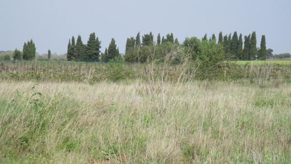 Fig. 9. Le site	probable de <I>Liviana</I> près de Pertuzac.