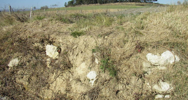 Fig. 40. Coupe de la chaussée près de Caux.