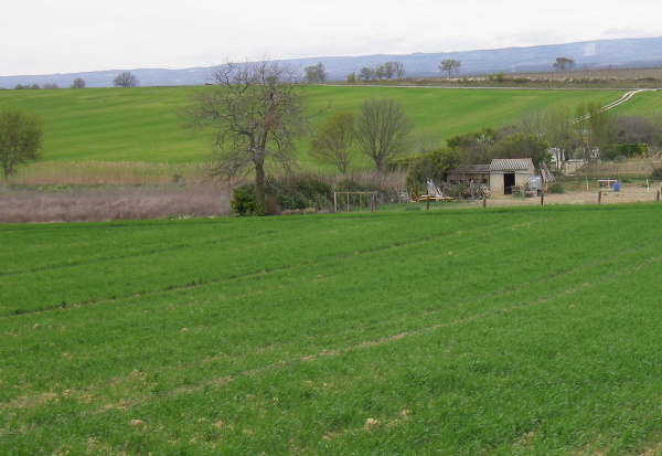 Fig. 42. Vallon du Sabartèzes. Le vieux pont se situe derrière la haie. 