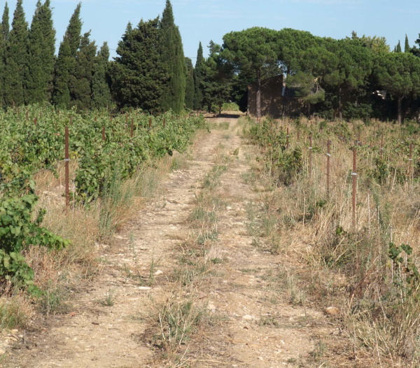 Fig. 28. Entrée de la voie d’Aquitaine dans Narbonne.