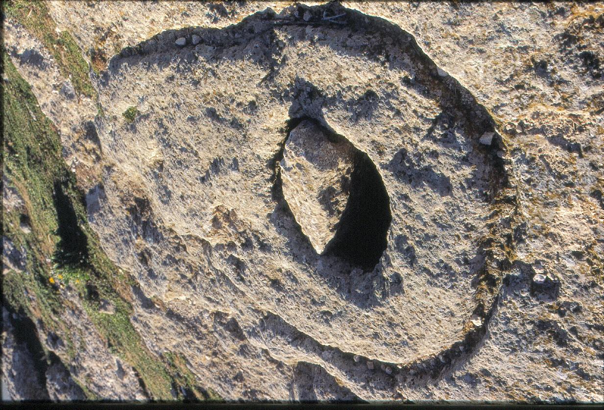 Fig. 4. Les silos à grains.