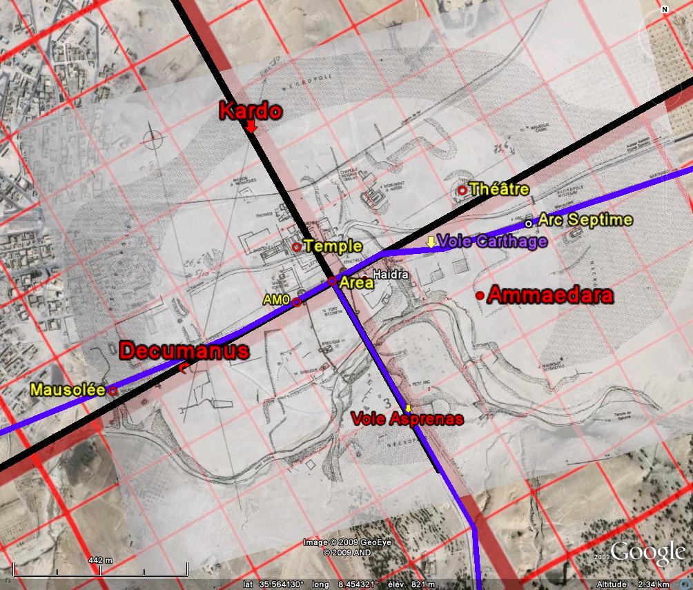 Fig. 26.<I>Ammaedara</I> et sa trame urbaine.