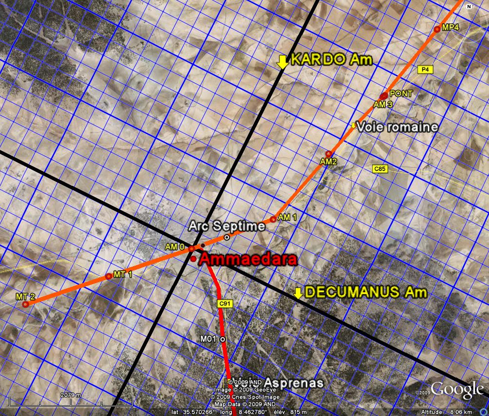 Fig. 24. Les quatre <I>perticae</I> d’<I>Ammaedara </I>définies par les axes principaux et les deux voies stratégiques.