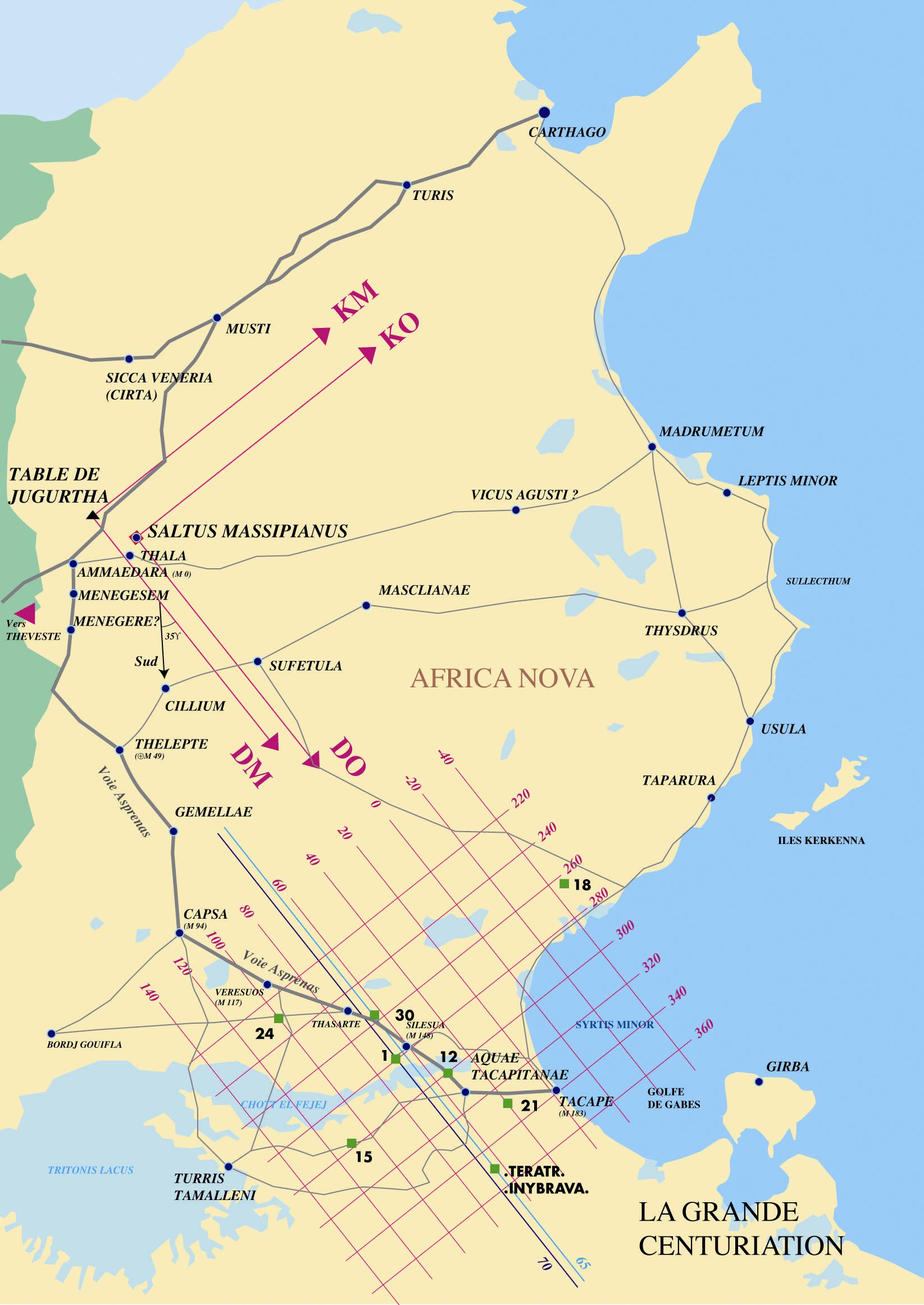 Fig. 10. La grande centuriation de l’<I>Africa Nova</I>