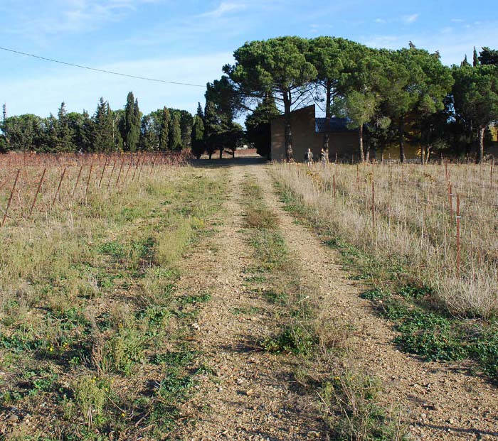 Fig. 15. L’entrée de la voie romaine dans la Narbonne actuelle.(Ph. M. Douyère)