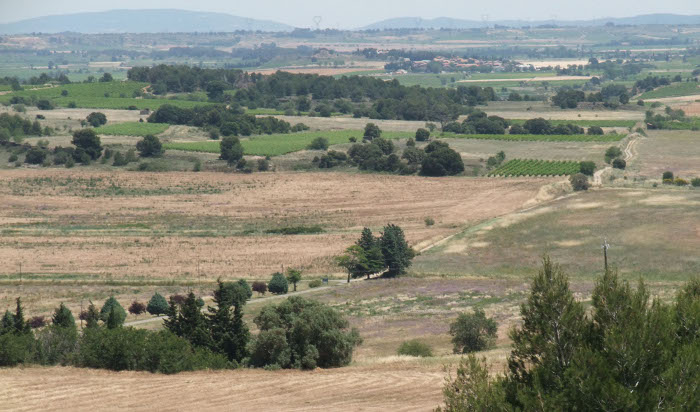 Fig. 25. Le chemin romieu en Minervois. Le tracé originel ne serpente pas comme le chemin actuel. Il évite au fond la zone inondée de St-Frichoux.